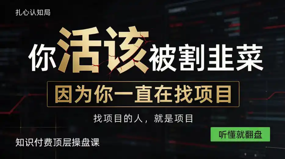 做项目不如卖项目，做知识付费自己当老板，知识付费顶层操盘课，听懂就翻盘【揭秘】-云启智联