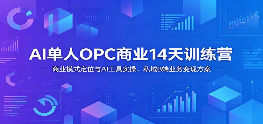 AI单人OPC商业14天训练营：商业模式定位与AI工具实操，私域B端业务变现方案-云启智联
