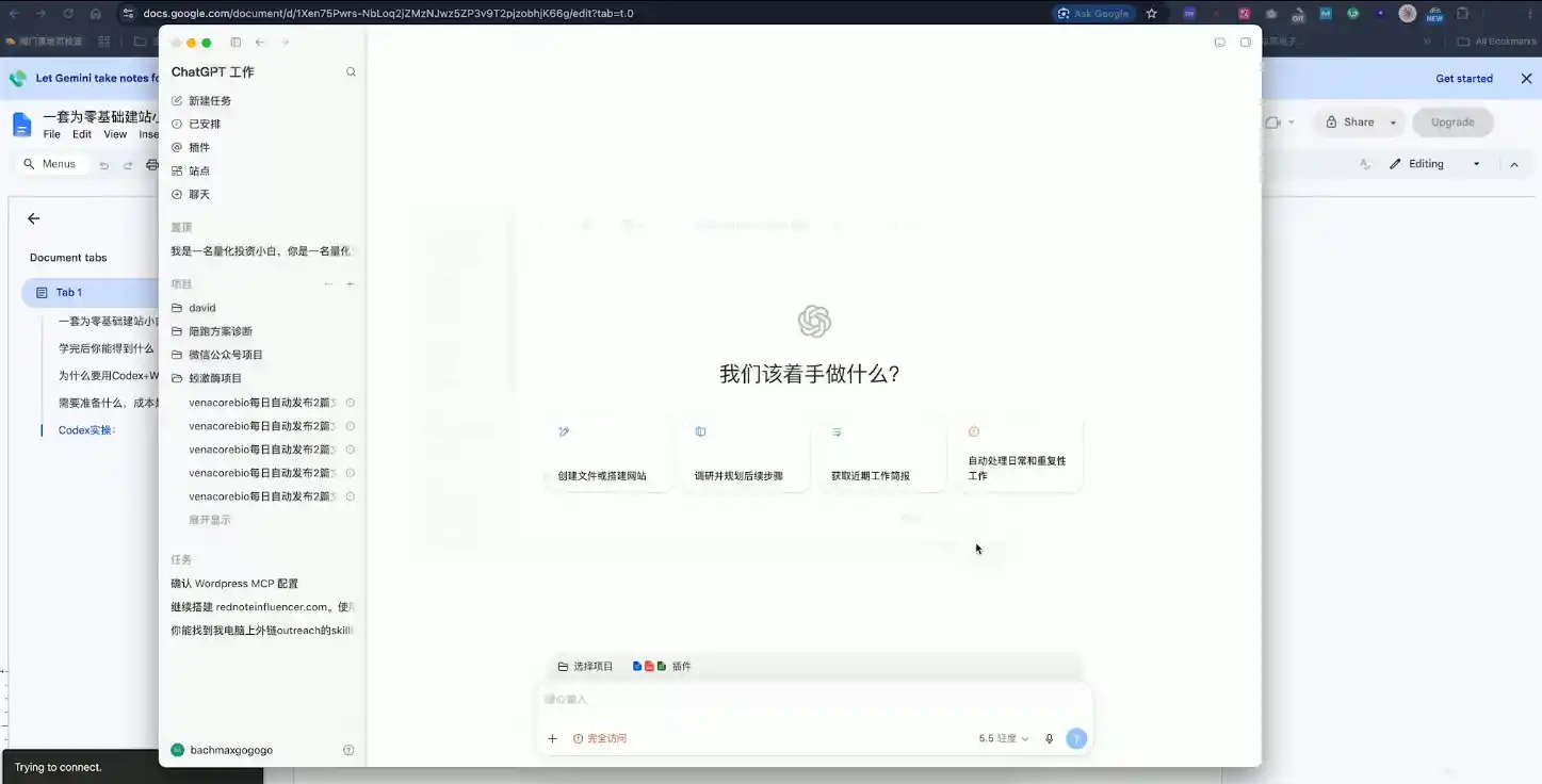 大卫·外贸人Codex + WordPress建站课(更新8月)-云启智联