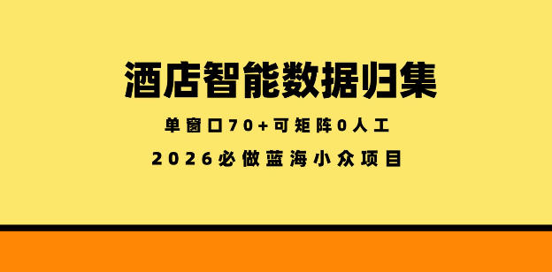 酒店智能数据归集，小众蓝海已经稳定半年之久，单窗口70+零成本矩阵开干【揭秘】-云启智联