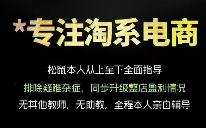 松鼠会电商VIP课程，从基础布局到高阶优化，助你掌握淘宝运营逻辑，提升店铺流量与转化(更新0711)-云启智联