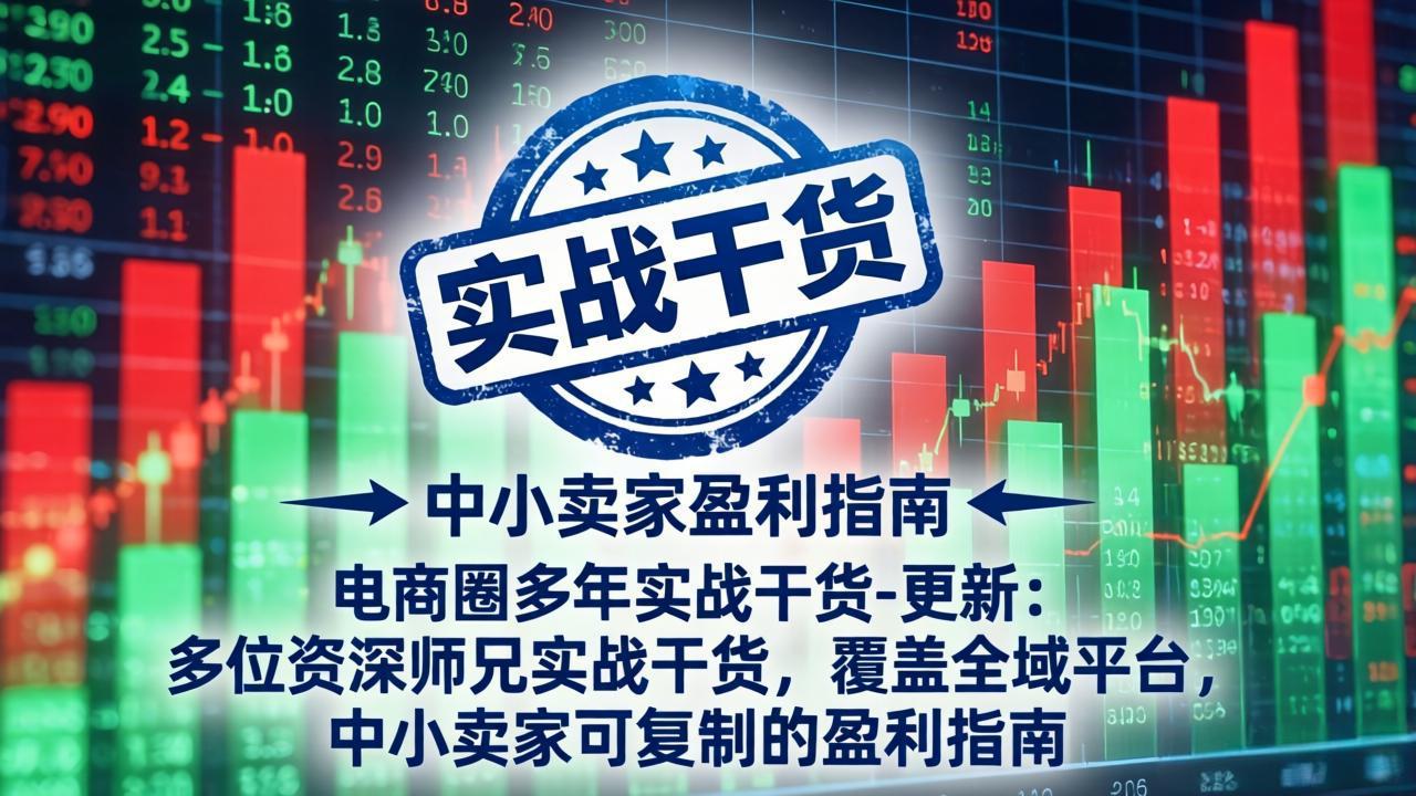 电商圈多年实战干货-更新5月20：多位资深师兄实战干货/覆盖全域平台，中小卖家可复制的盈利指南-云启智联