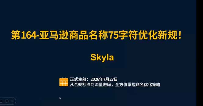亚马逊跨境实战课：全品类选品逻辑｜SP/SB/SD广告精细化｜新品打爆旺季爆单全套运营教程-云启智联