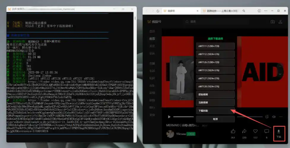 Github热门工具，视频号下载神器又来了！一键注入下载按钮，轻松下载，使用便捷wx_channel-云启智联